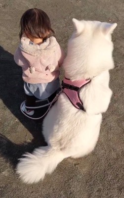 女の子と犬の後ろ姿