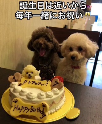 お誕生日会は盛大に!!