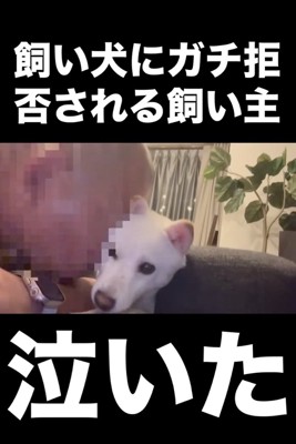 愛情あふれすぎるスリスリ