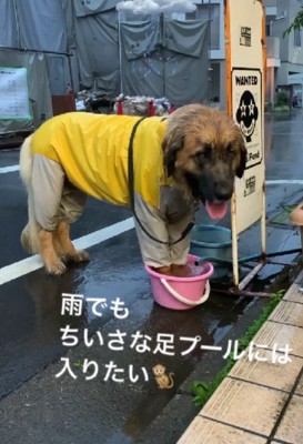 ギャップにキュン死!!