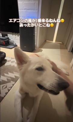 れお君の表情の変化8