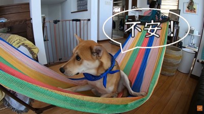 ひとりだと、やっぱり怖い…!