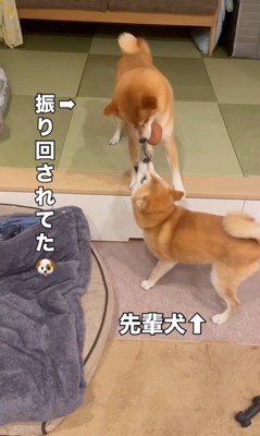 もずく君とわさび君の変化⑩