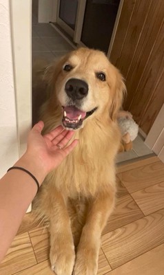 かーる君の成長記録9