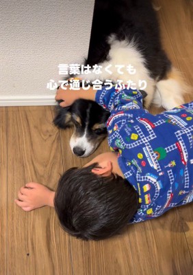 レアちゃんをなでてあげることも