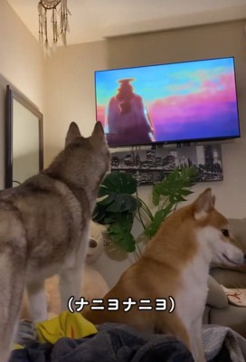 吠え続けるロッキーくん