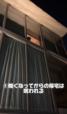 遅くに帰宅した飼い主を見つめる大型犬のシルエット