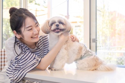 台の上の犬を抱きしめる
