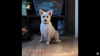 緊急で手術をすることに