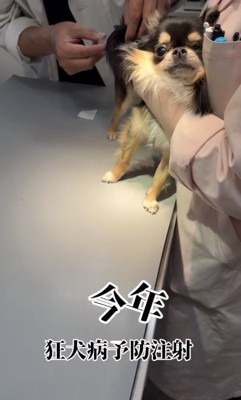 緊張はしている