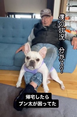 おじいちゃんの足に挟まるブン太くん