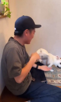 マルちゃんとお父さんの再会5