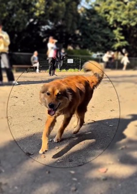 笑顔のラッキーくん