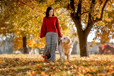 秋に囲まれて散歩する女性と犬