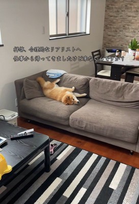 お出迎えする気ゼロ