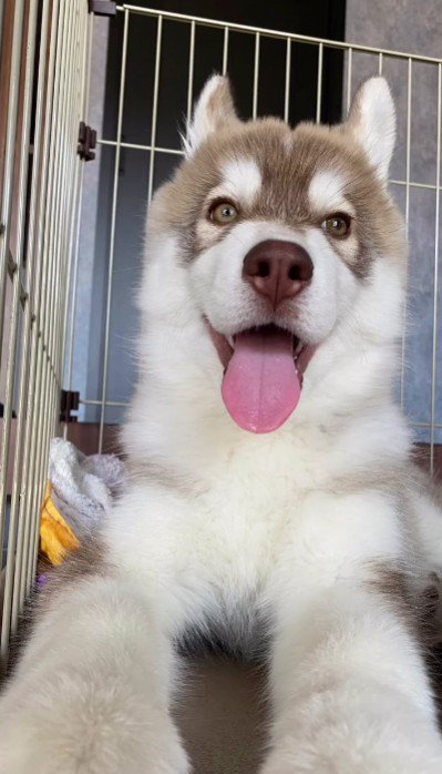 徐々に成長して…