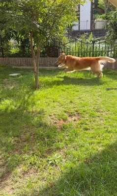 ララちゃんの熱烈歓迎7