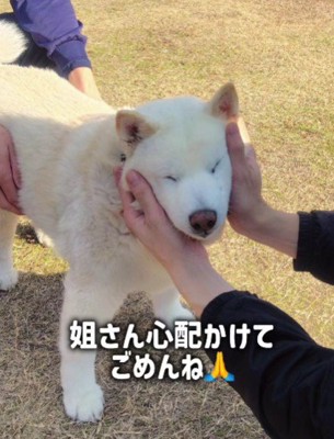 「私の看病のおかげね!!」