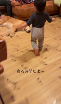 レアくんと赤ちゃんの寝る前の日課