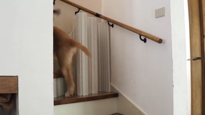 あっさり突破!