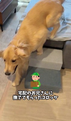 宅配のお兄さんに撫でてもらった♡