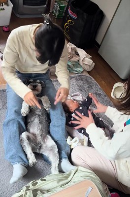 まんざらでもないトンボくん