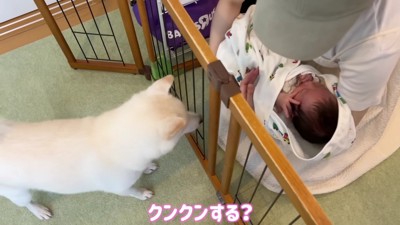 あからさまにハイテンションに