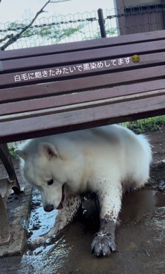 お腹まで浸かります！