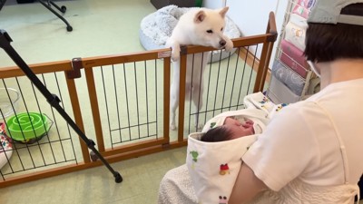 おまめちゃんが大歓迎!