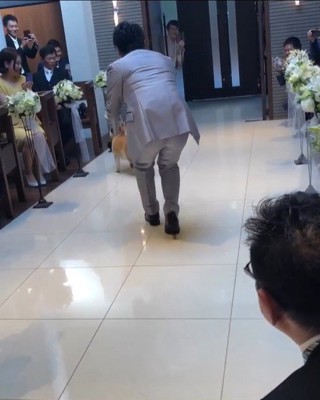 リングドッグに挑戦する豆助座衛門くん7