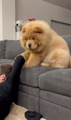 構ってくれないな