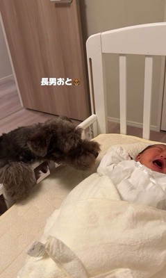 おと君もご挨拶してくれました