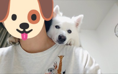 ひょっこり