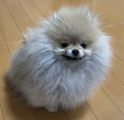 ヘラッ