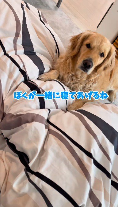 女の子の隣に横になって女の子を見つめる犬
