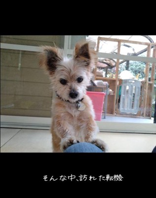 ネオくんが幸せを掴むまで9