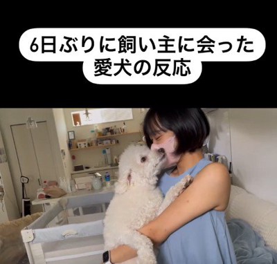 むう君＆める君と飼い主さんの再会⑩