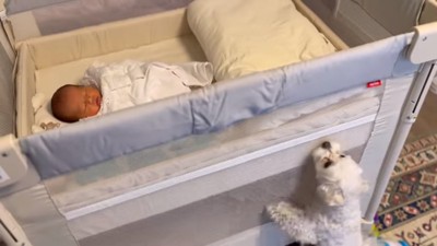 ベビーベッドの赤ちゃんが気になるエルくん