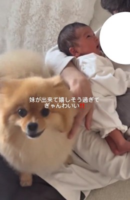 嬉しいハニちゃん