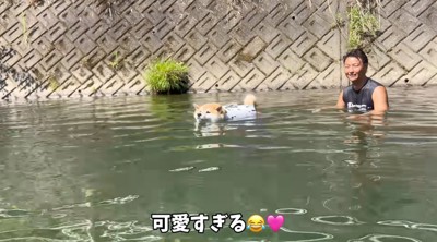 男性に見守られて川の中を泳ぐ柴犬