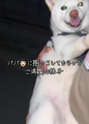 抱っこハラスメント!?