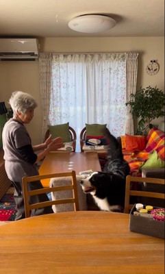 同居をはじめたリンちゃんとおばあちゃん2