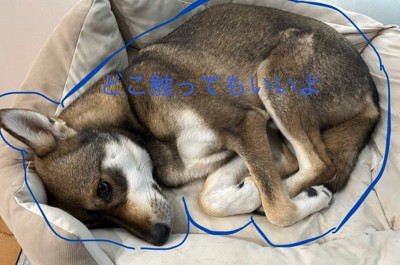「どこでもどうぞ」