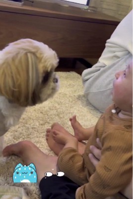 「どうしたの?」