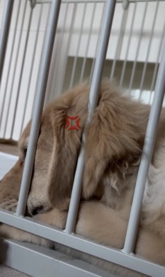 「いい加減にしてっ」