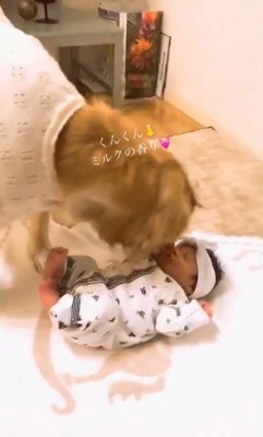 くららちゃんと赤ちゃん2