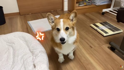 「どうして出してくれないの！」