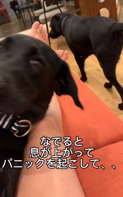 パニック状態になって…