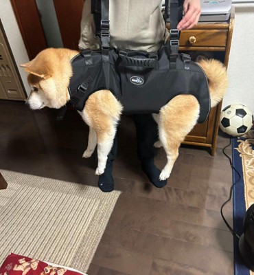 リフトハーネスを使ってみたら…