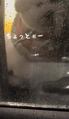 窓に顔を寄せる犬